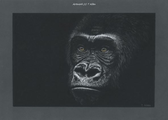 Silverback Gorilla Artwork