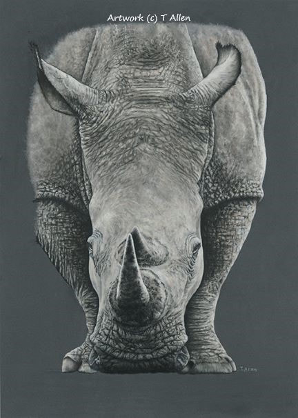 Rhino Artwork