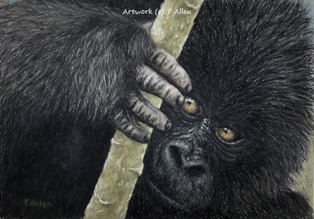 Orangutan Artwork